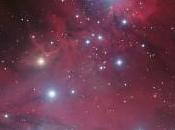 L’Albero Natale dell’Unicorno