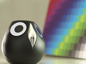 Owl: sembra gufo giocattolo