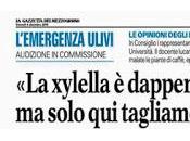 problema consenso affrontare Xylella contesto Salento leccese