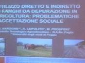 Xylella fosse fatto così sarebbero stati problemi
