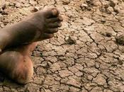 Namibia /Emergenza siccità come anche Sudafrica