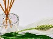 Curare stress fiori essenze