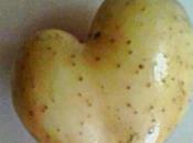 Raccolta ricette patate