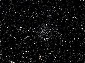 Testimoni giovane Lattea