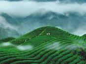 Poteri curativi agli otto tesori