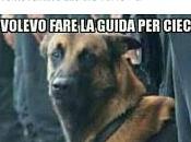 PAVIA. Capodanno bestemmia.