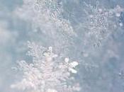 dentro, nevica!