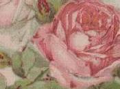 Schema punto croce: Rosa_1