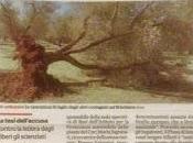 Xylella dicembre 2015