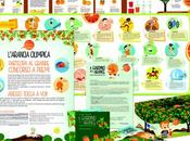SICILIA: SCUOLA PROTAGONISTA L’ARANCIA OLIMPICA Giardino delle Arance