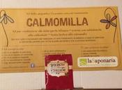 Calmomilla dello spignatto Saponaria