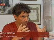 Intervista David Bettio: perché preferire diete naturali