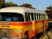 Estate 2011? Idea Malta