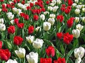 Anniversario Unità d'Italia