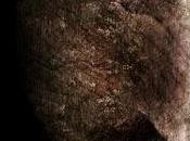 Uscito OVUNQUE SARAI Laura Gay...il seguito PRIGIONIERA TEMPO!!!