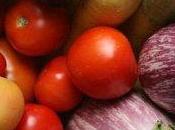 Usa: studio dimostra dieta vegetariana nemica dell’ambiente!