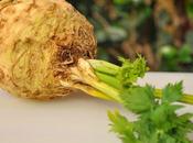 Tonico, depurativo,drenante: sedano rapa