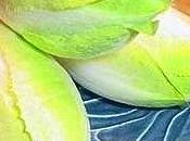 Insalata belga, scarola indivia contrastare chili delle feste