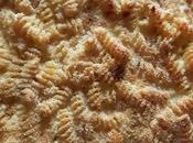 Macaroni cheese