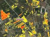 comunicazioni Ricercatore dott. Antonio Porto