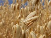 Ritrovare buon umore energia frutta secca