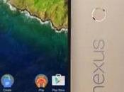 Google Nexus disponibile colorazione Gold Italia)