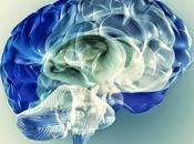 Ecco perché vedo molta stupidità denti bianchi!