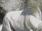 Schema punto croce: Cavallo_2