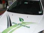 Hera biocarburante fango rifiuti organici