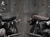 Triumph rinnova gamma Bonneville