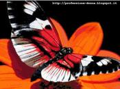 Schema punto croce: Farfalla_1