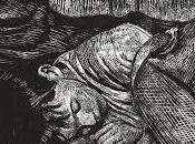 Novità Orecchio Acerbo presenta Buchettino