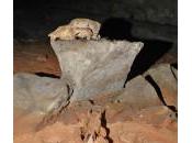Grotta Chauvet L’arte uomini Speleopillola della settimana