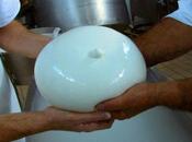 Inceneritore Paestum: pericolo prodotti Dop. protesta cittadini