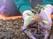 2015 boom ragazze under lavoro mondo dell’agricoltura