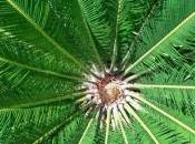 Hugo Barra pubblica nuovo scatto realizzato Xiaomi Mi5!