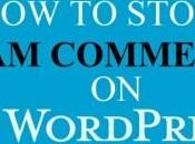 Stop Spam Comments WordPress