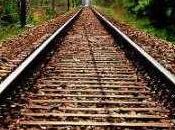 Linee guida trova differenze