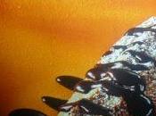 churros salsa cioccolato