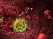 Hiv: ricercatore italiano contagiato virus creato laboratorio