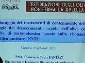 Francesco Paolo Fanizzi: Monitoraggio trattamenti contenimento delle patologie disseccamento rapido dell’ulivo tecniche metabolomica basate sulla risonanza magnetica nucleare (NMR) Martano (Lecce) febbraio 2016