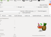 [Guida] Come convertire video [Linux] [HandBrake]