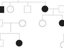 Alberi genealogici: come individuare modalità trasmissione carattere