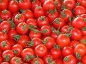 Pomodoro dalla Cina: boom importazioni. rischio made Italy