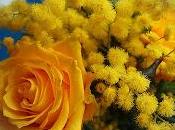 Marzo donna Torre Greco
