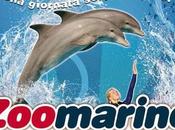 Zoomarine 2016: Promozioni, Sconti Convenzioni