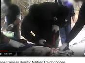 Animali mutilati addestramento militare
