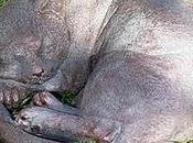 Aprile, dolce dormire