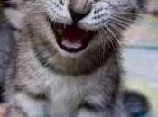 Portafoglio obbligazionario