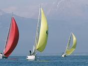 Regata Cetacei Classifica